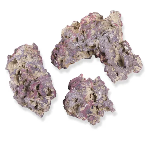 Live Dry Rock 20 or 40lbs