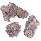 Live Dry Rock 20 or 40lbs