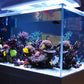 Fish Tank Delivery and Set Up!