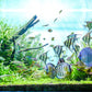 Fish Tank Delivery and Set Up!